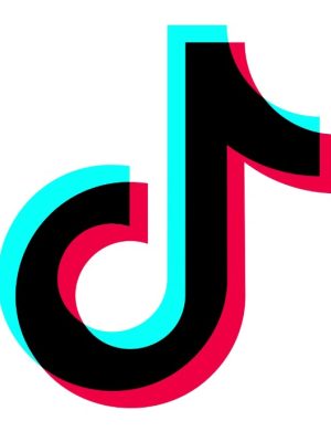Complete TikTok Marketing Masterclass: Get Millions of Views